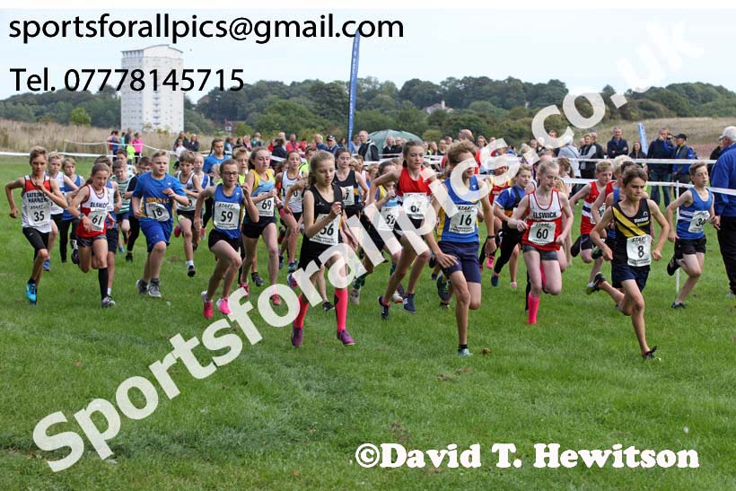 Boys and girls under-13s, Sunderland Harriers Cross Country Relays, Farringdon, Sunderland . Photo: David T. Hewitson/Sports for All Pics